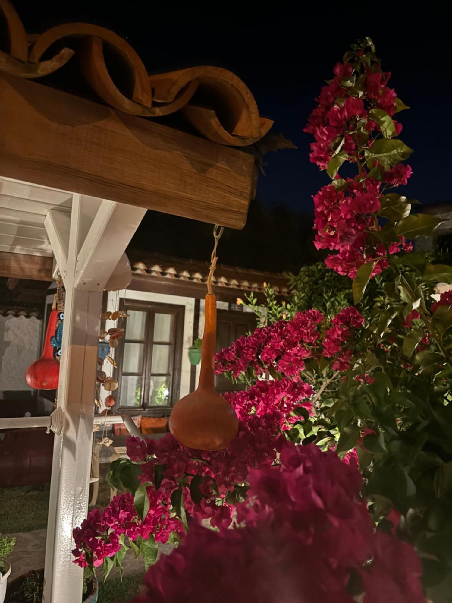 Tasdelen Hotel Alacatı Bagian luar foto