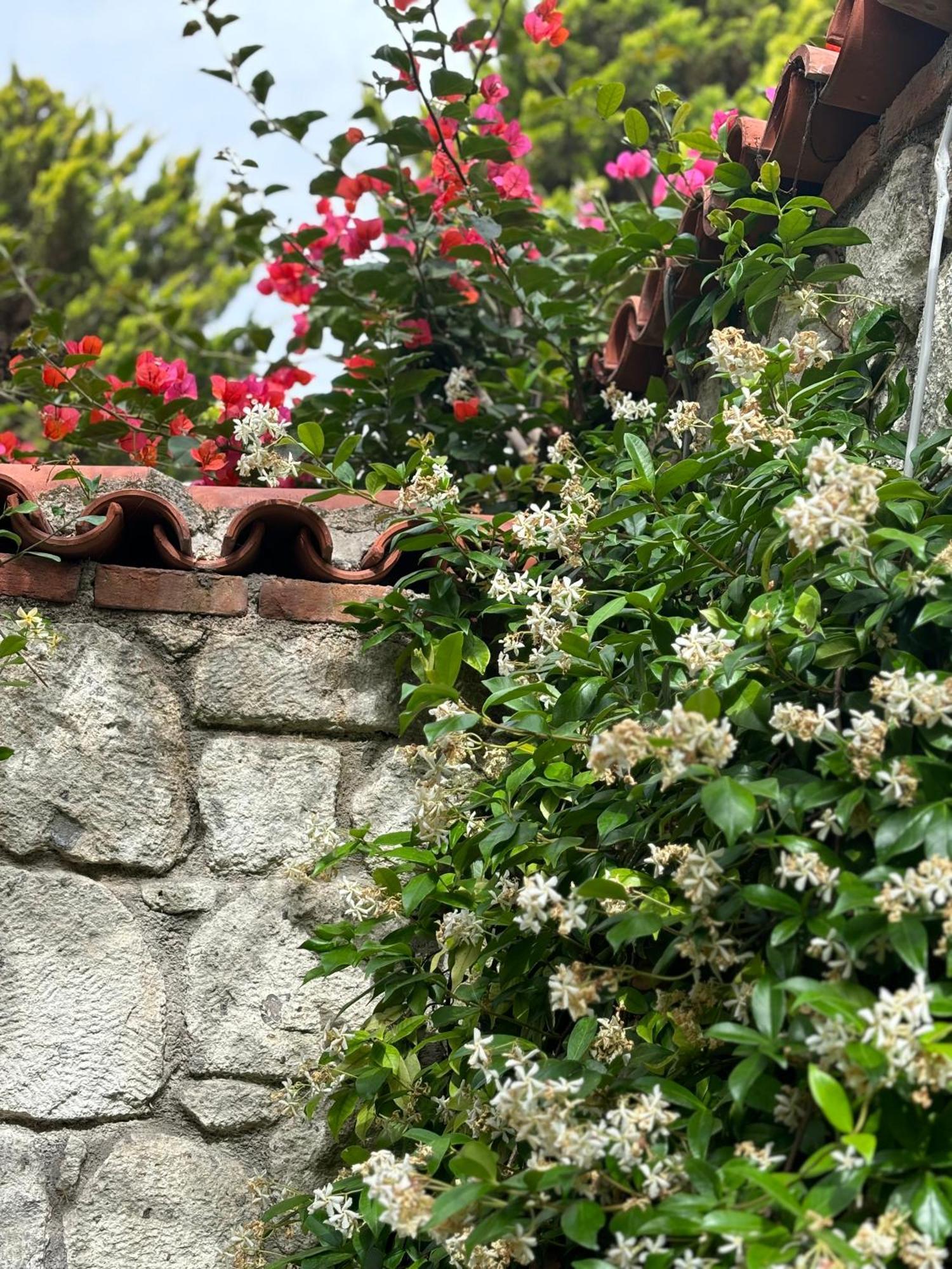 Tasdelen Hotel Alacatı Bagian luar foto